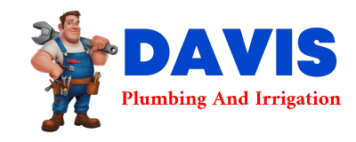 Trusted plumber in SALITPA